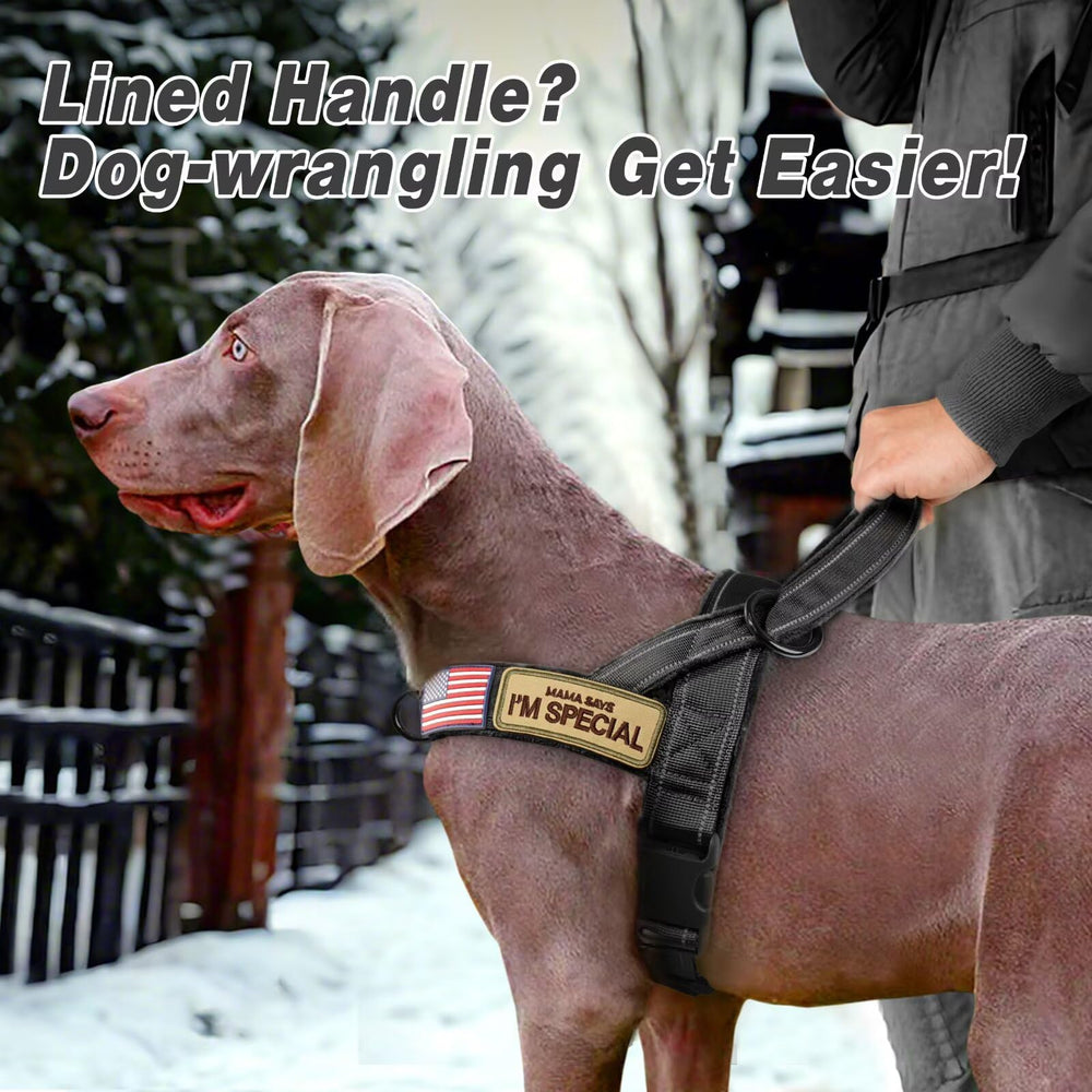Forestpaw harness chest measurement guide showing sizing by chest girth.