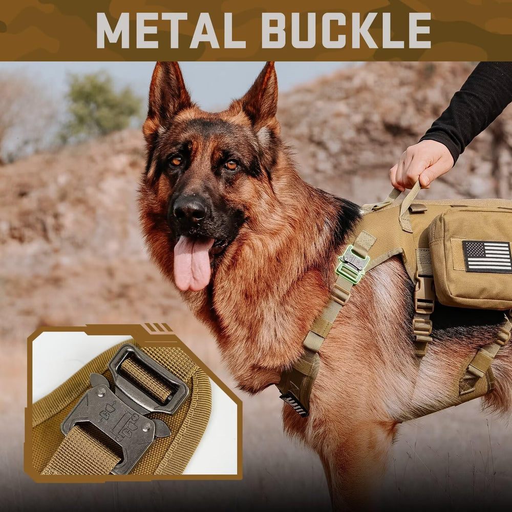 Forestpaw reinforced buckles on harness emphasize durability during high-energy activities.