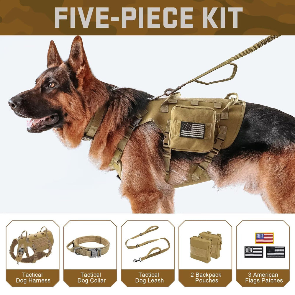 Forestpaw MOLLE backpacks illustrate organized storage for treats and gear.
