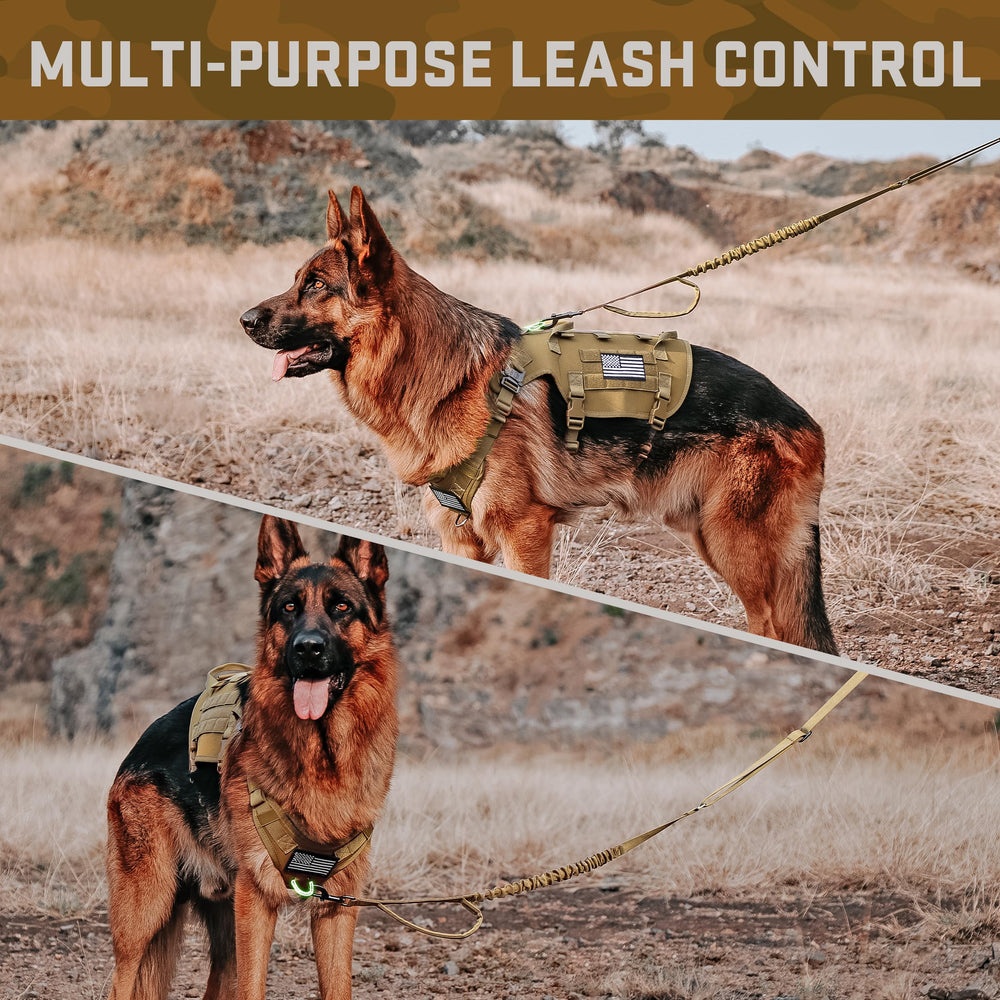 Forestpaw 1000D nylon construction promises rugged, long-lasting gear.