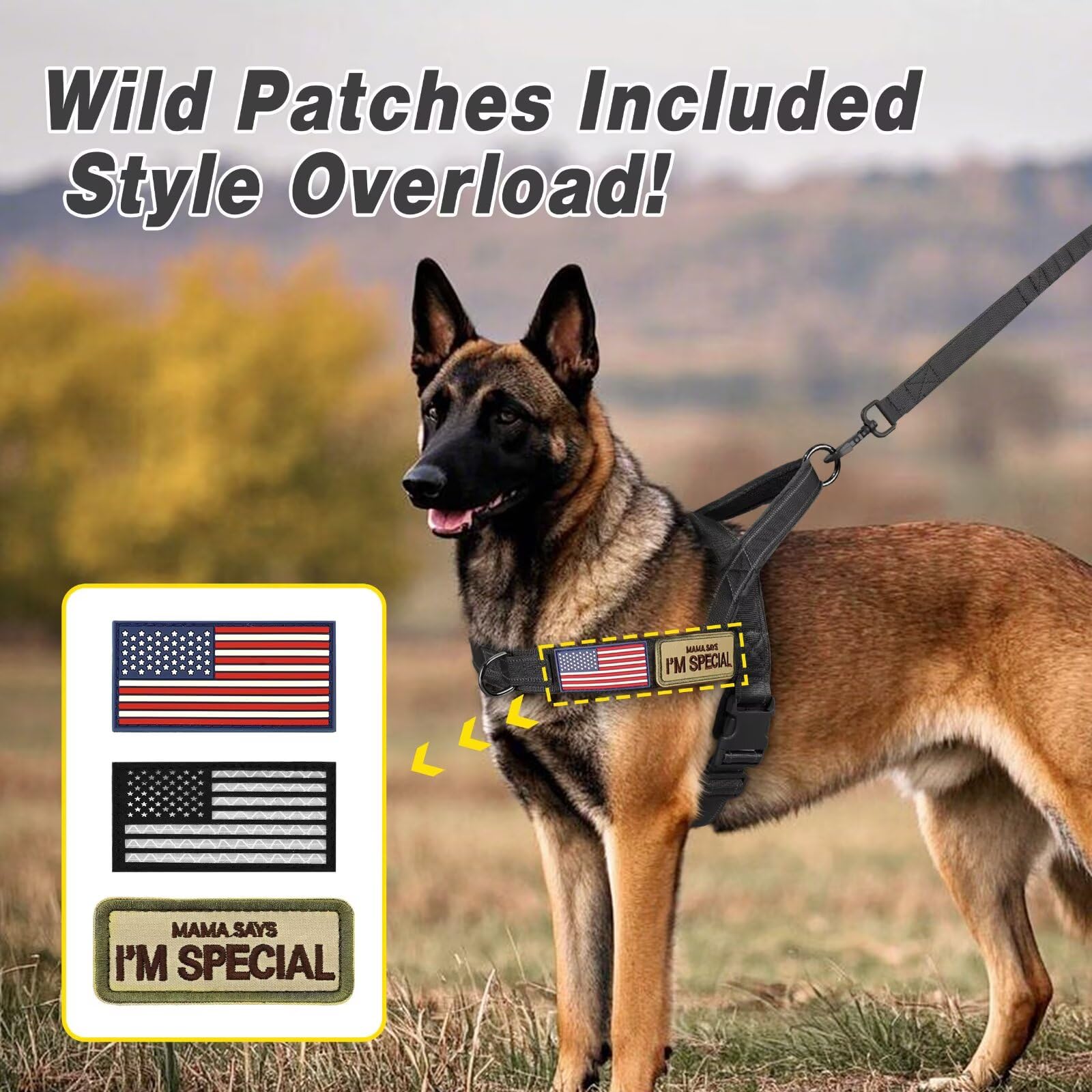 Forestpaw plush lining detail showcasing all day comfort and reduced friction.