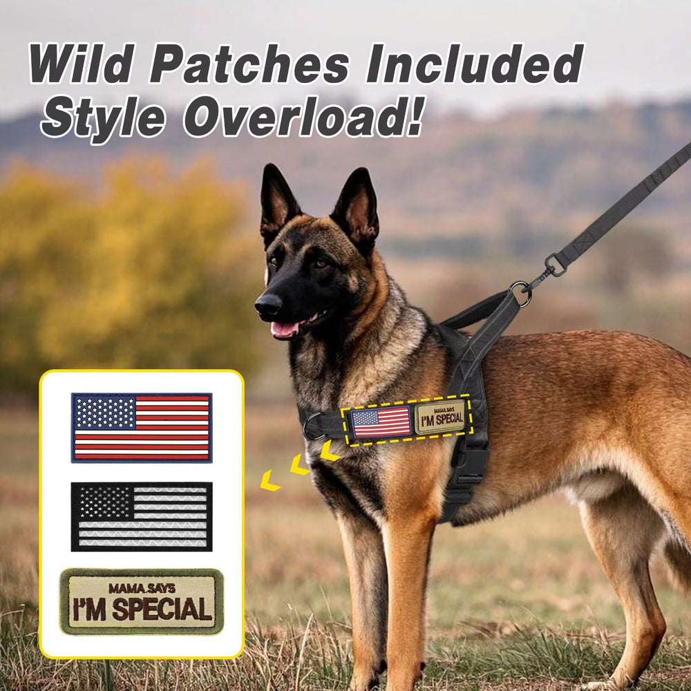 Forestpaw plush lining detail showcasing all day comfort and reduced friction.
