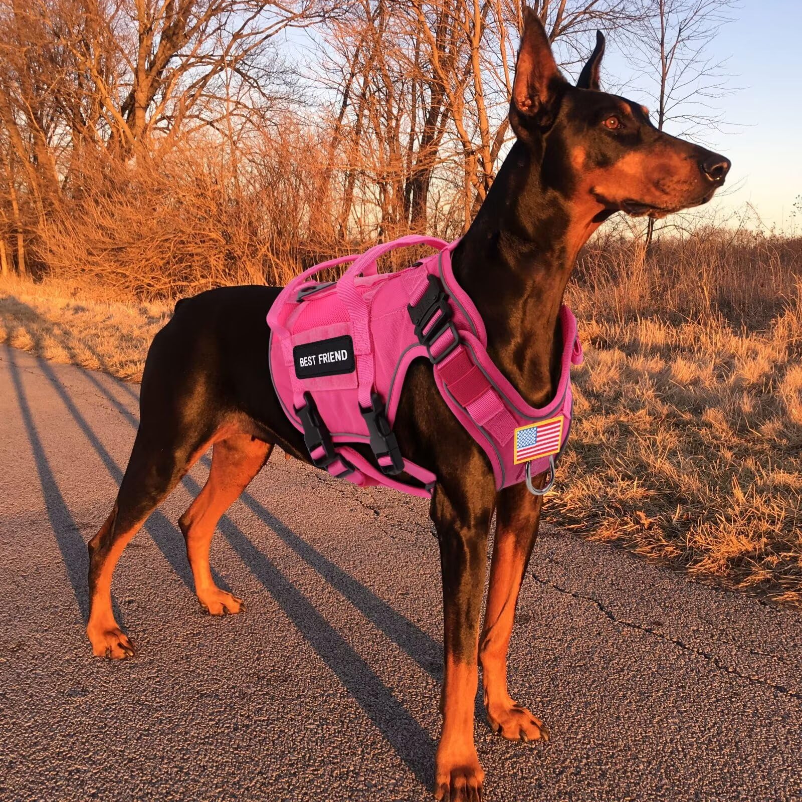 Forestpaw American flag patch on harness adds patriotic flair and easy spotting