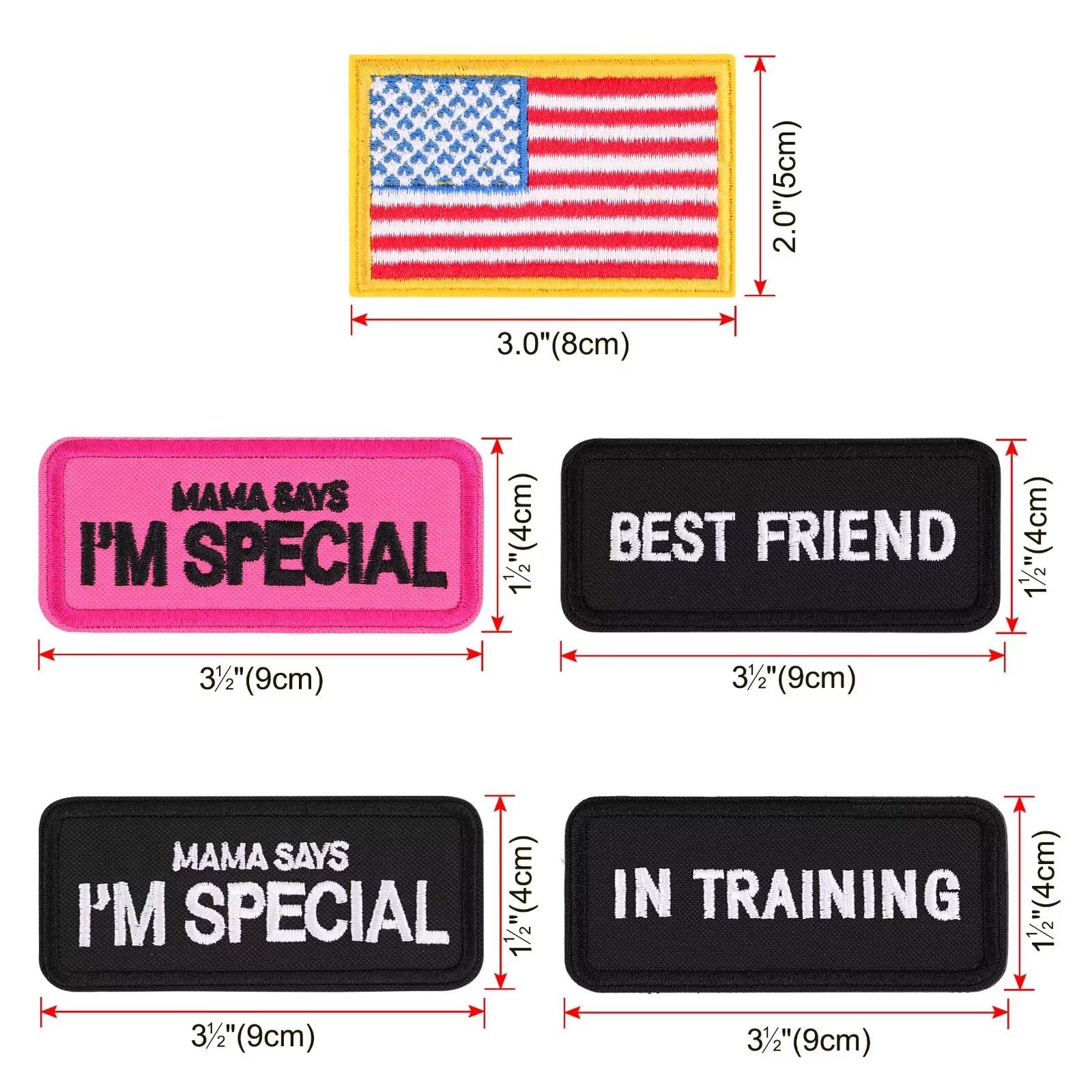 Forestpaw embroidered best friend patch on collar elevates outdoor training style
