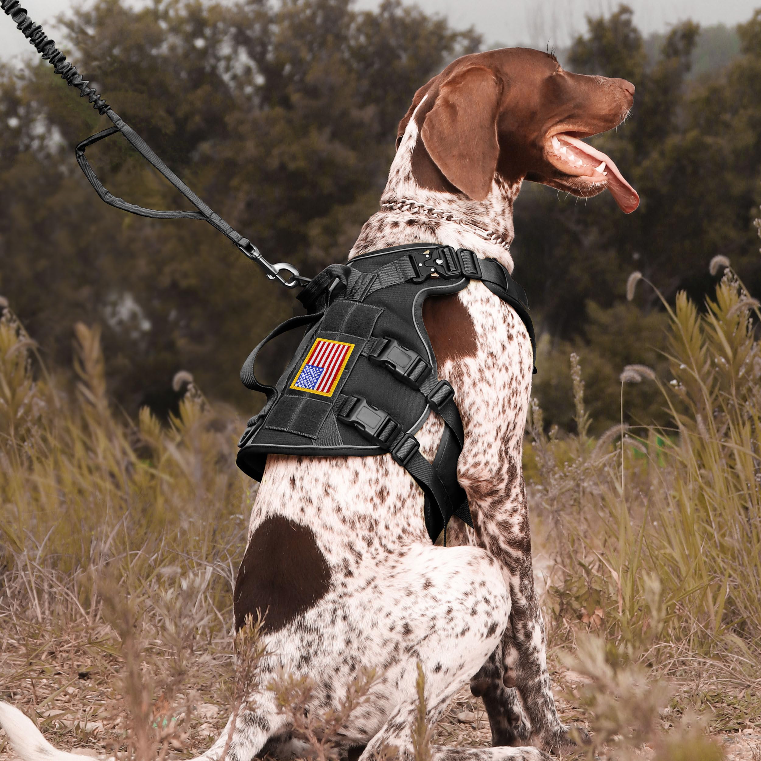 Forestpaw patches fit most harnesses and collars for versatile training use