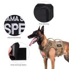 Forestpaw patches in-training pattern on vest promote clear identification during walks