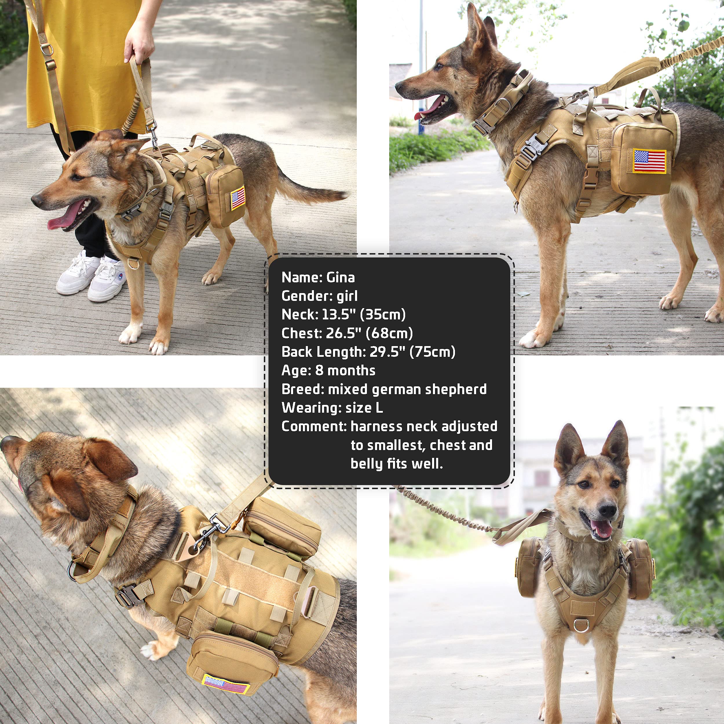 Forestpaw size guide image shows chest measurement for proper fit and comfort.