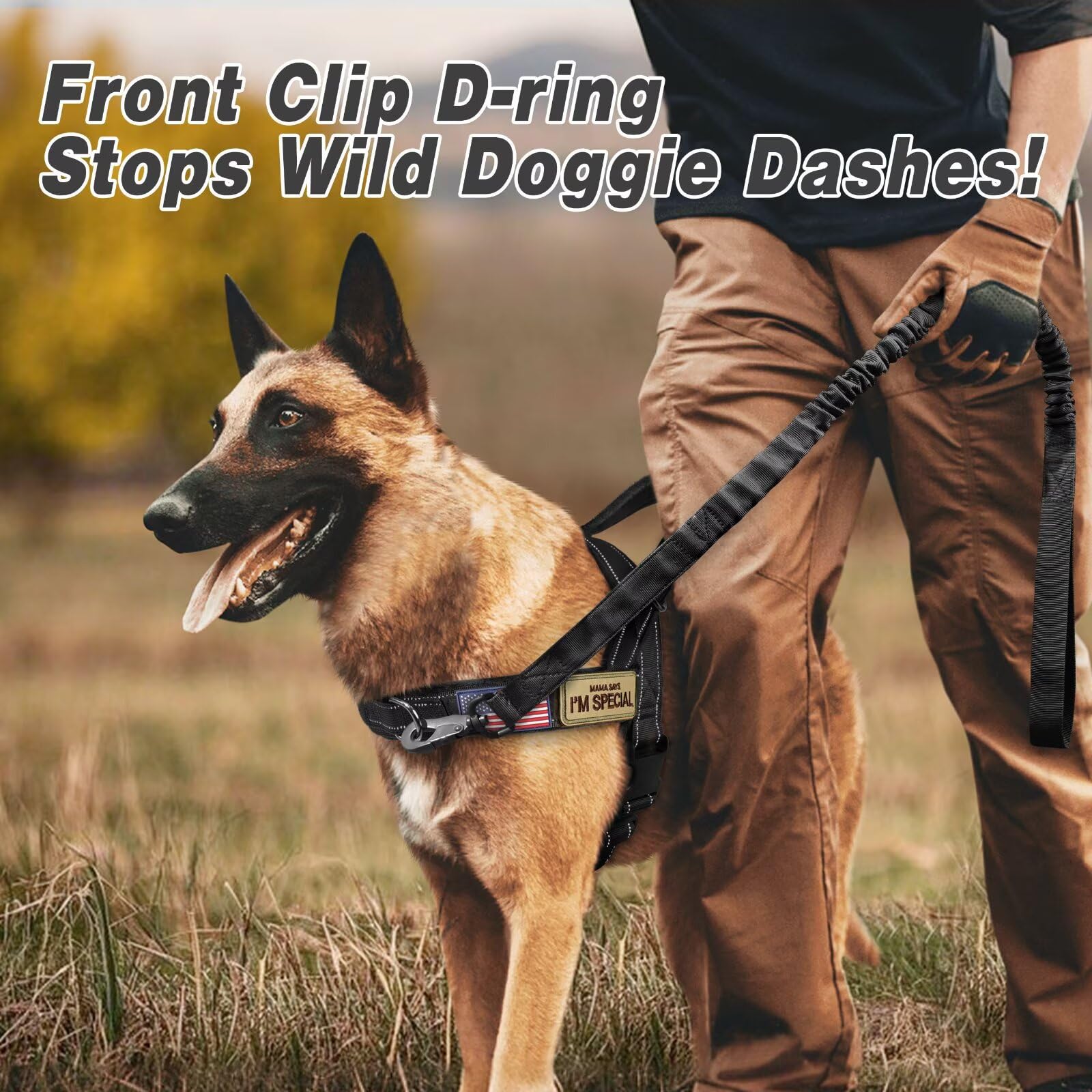 Forestpaw slip-on reflective vest black enhances visibility during night walks.