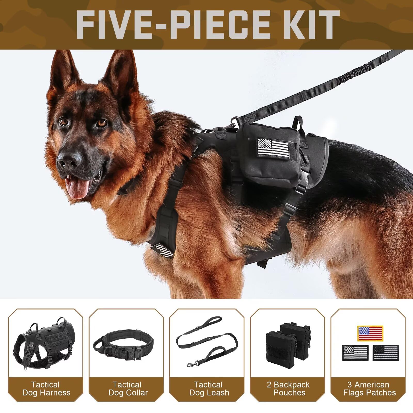 Forestpaw bungee leash ergonomic handles reduce sudden pulls during jogs