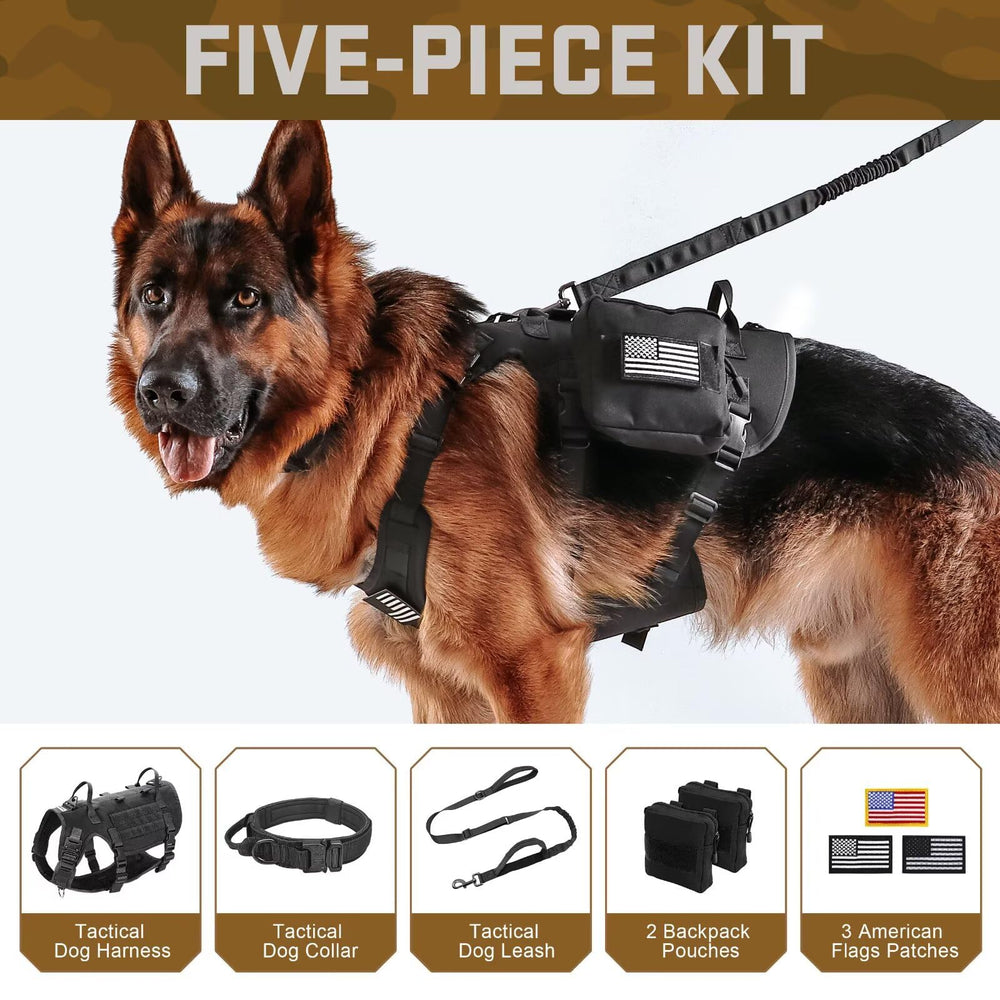 Forestpaw tactical harness with bungee leash shows shock absorption for smooth jogging.