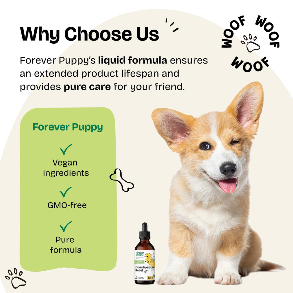 Forever Puppy bottle-label-dog-vitamins draws attention to natural gut support