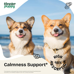 Forever Puppy Calming Drops bottle front view highlighting calming formula for dogs
