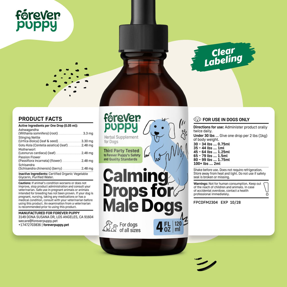 Forever Puppy Calming Drops create a relaxed dog scene after use
