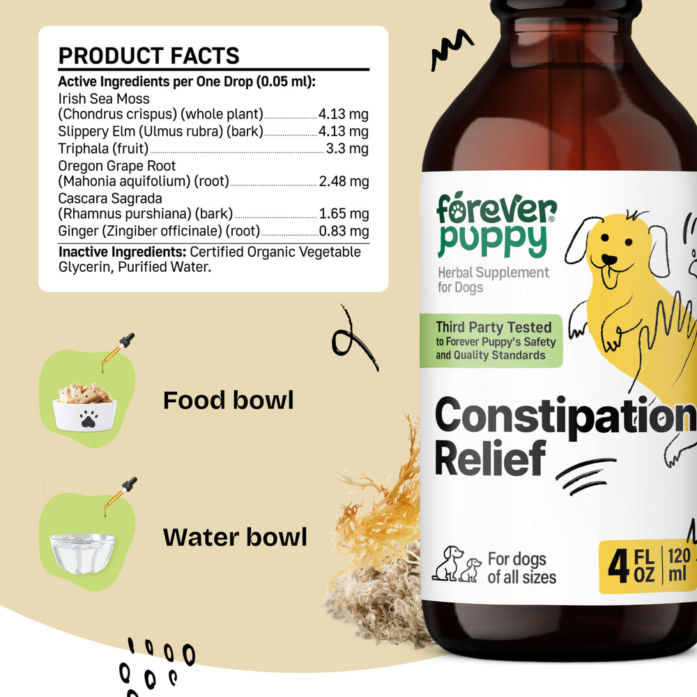 Forever Puppy dog-digestive-health-drops-dispense showcases easy-to-add fiber support