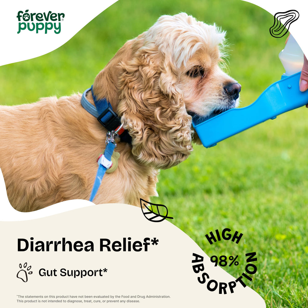 Forever Puppy psyllium husk drops in dog food bowl aid routine digestion