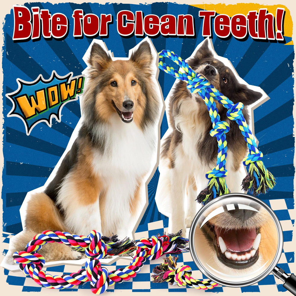 Forfon dog bags included for convenient cleanup after play