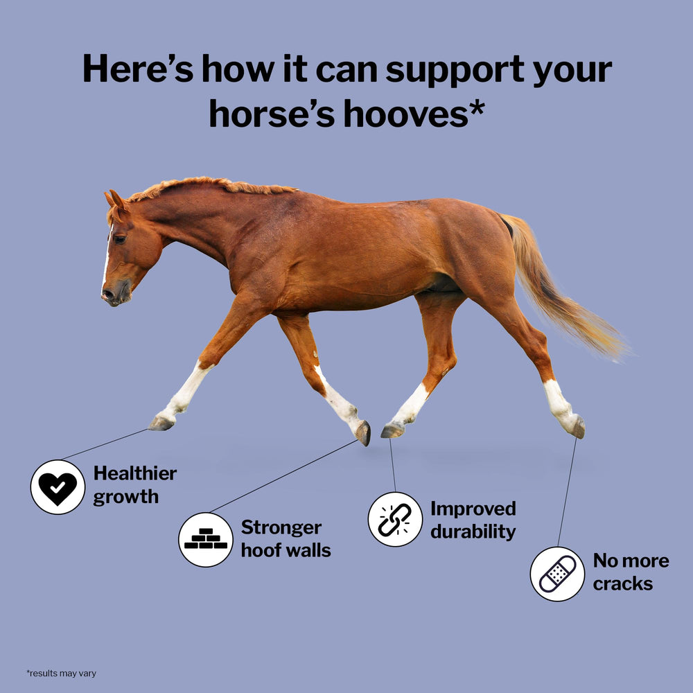 Close-up of amino acids in Formula 707 supporting hoof quality
