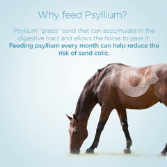 Formula 707 psyllium pellets bottle closeup highlighting palatable texture for easy feeding.