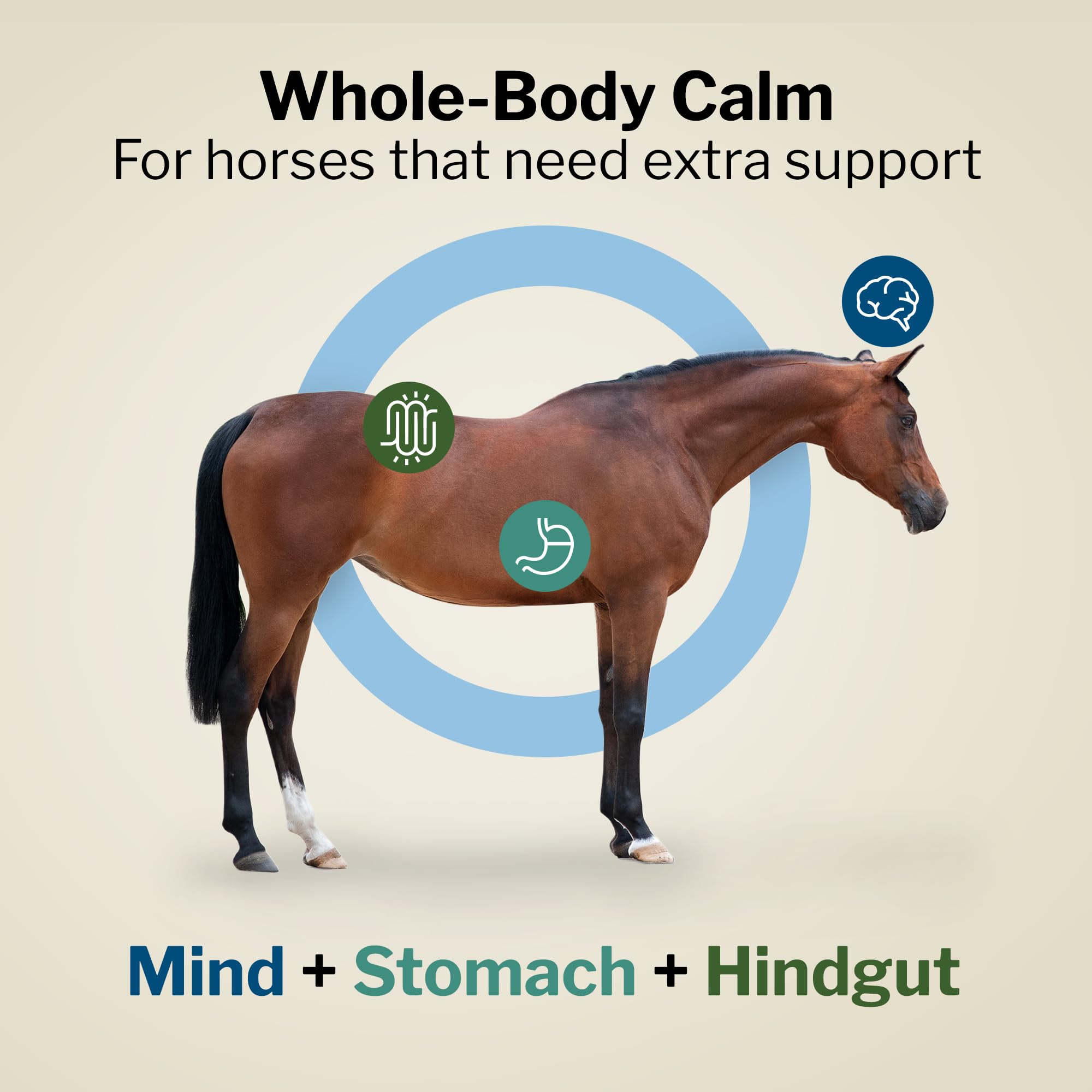 Formula 707 Support Pro 28-day packets ready for consistent barn routine.