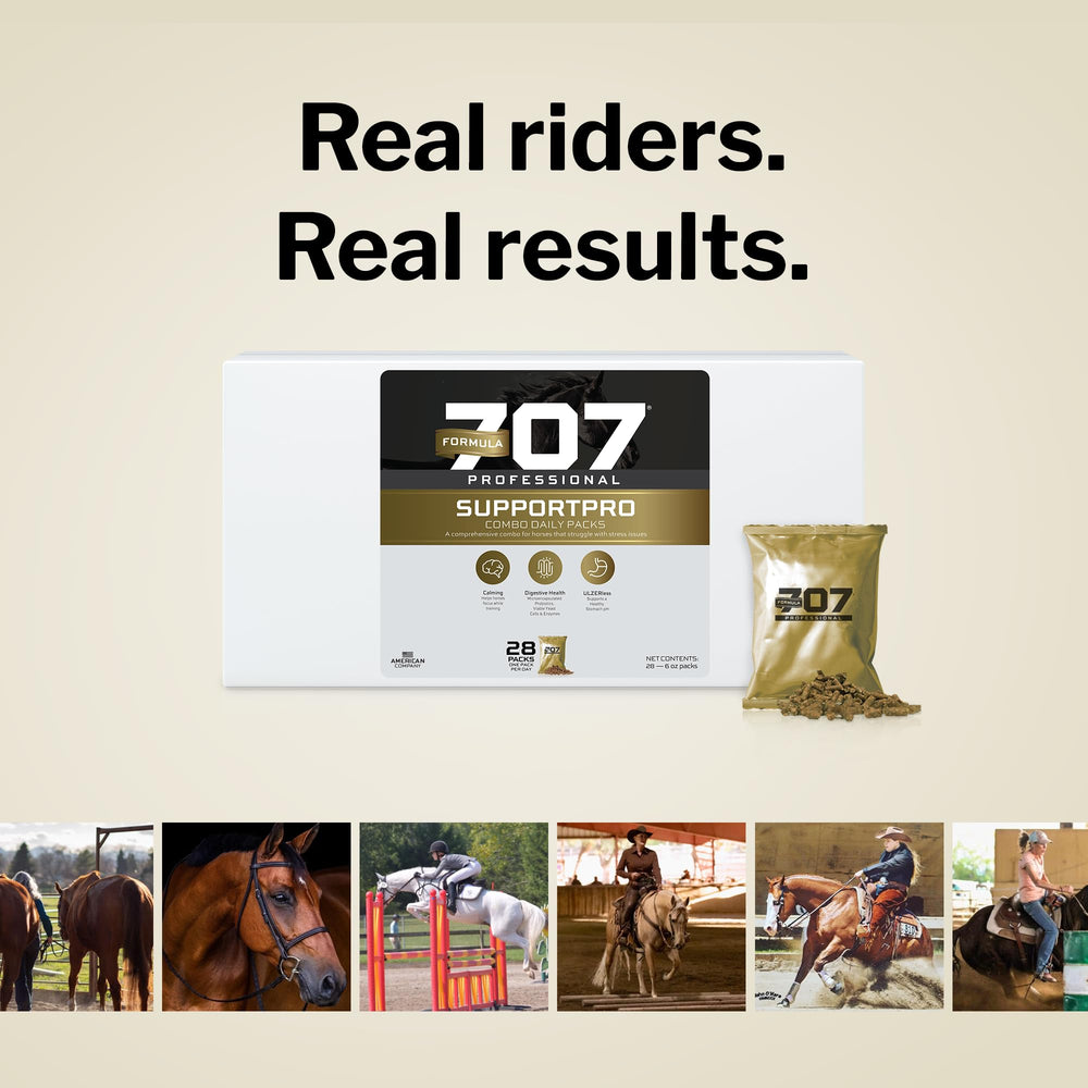 Formula 707 Support Pro horse in stable appearing relaxed and at ease.