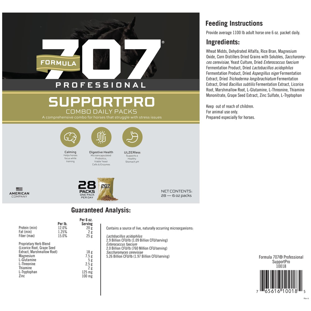 Formula 707 Support Pro horse at show prep with calm, focused demeanor.