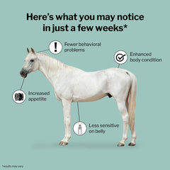 Formula 707 ULZERless horse diet scene supports steady feeding routines