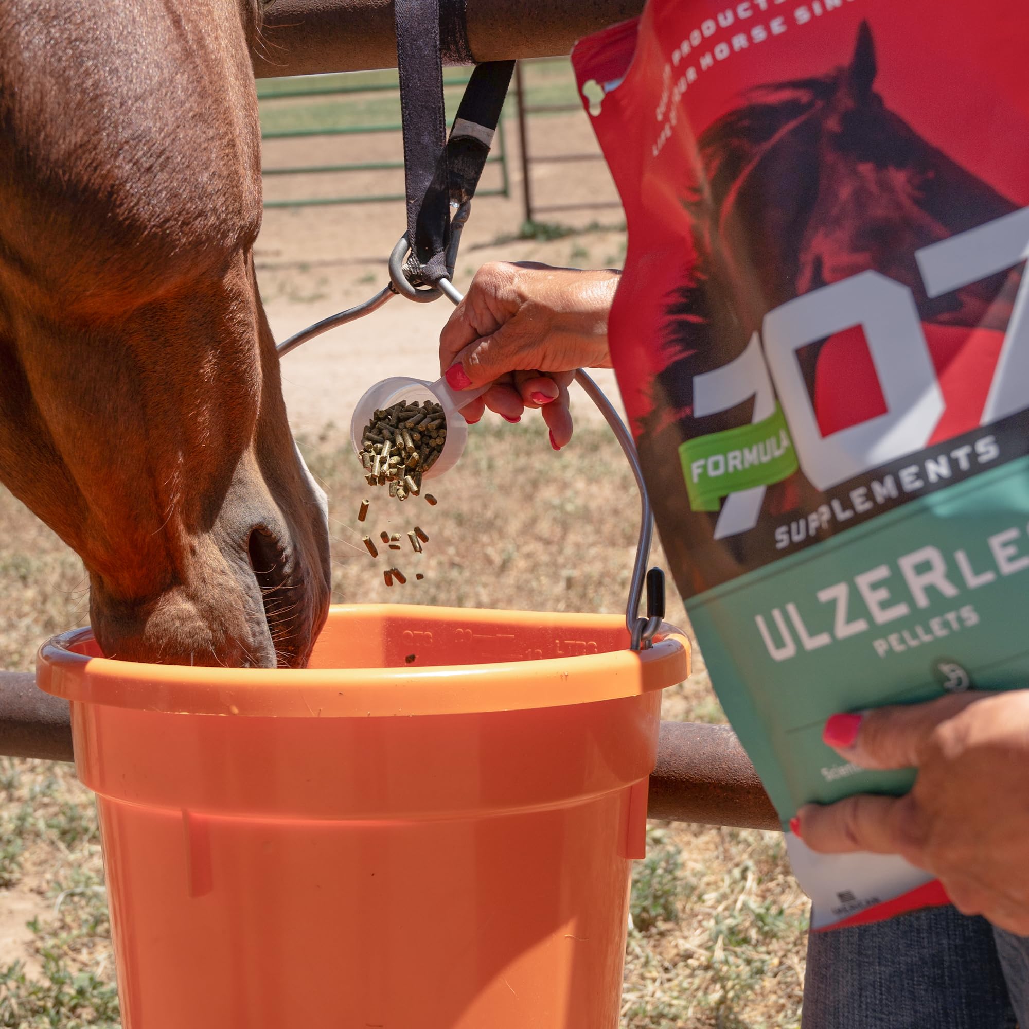 Formula 707 ULZERless stable morning routine promotes digestible care