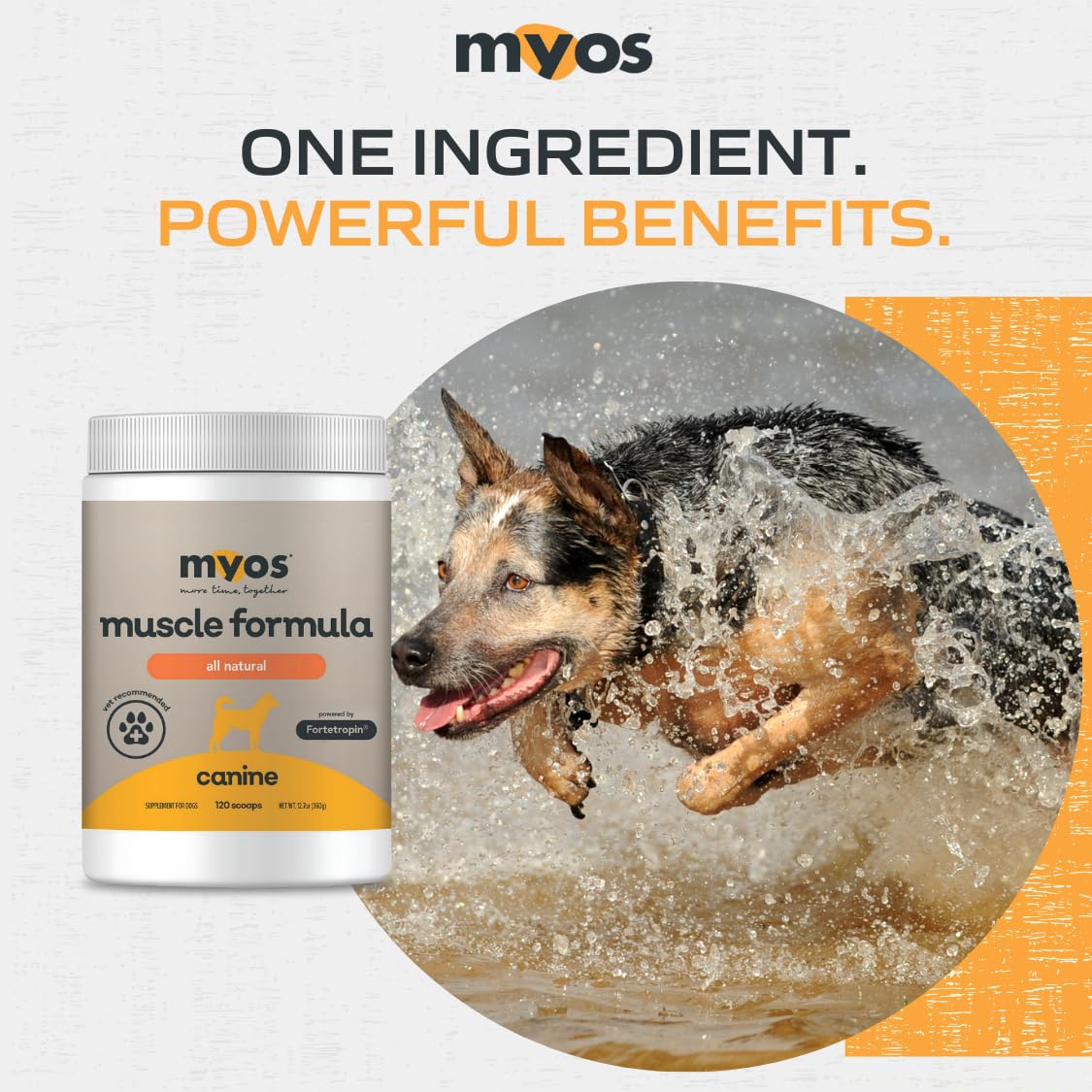 MYOS Fortetropin clinical studies visual illustrating research foundation