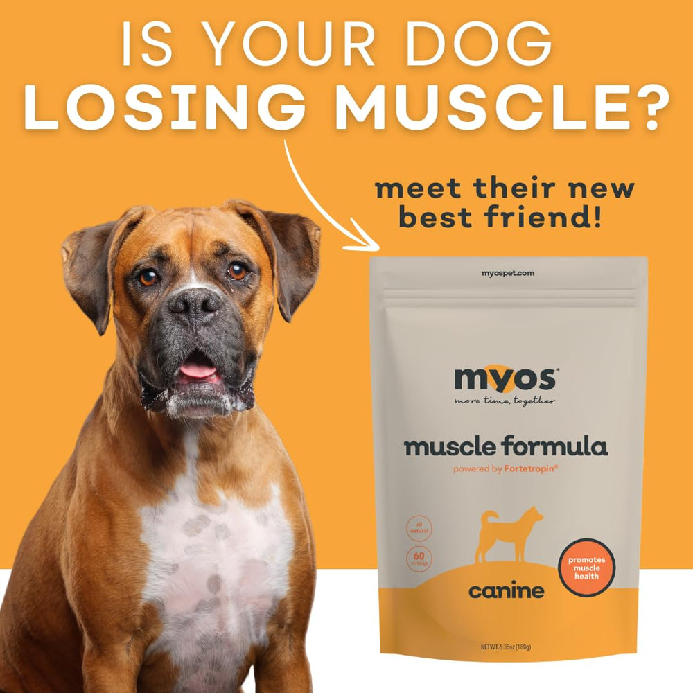 Fortetropin close-up highlights natural bioactive egg yolk ingredient supporting muscle health