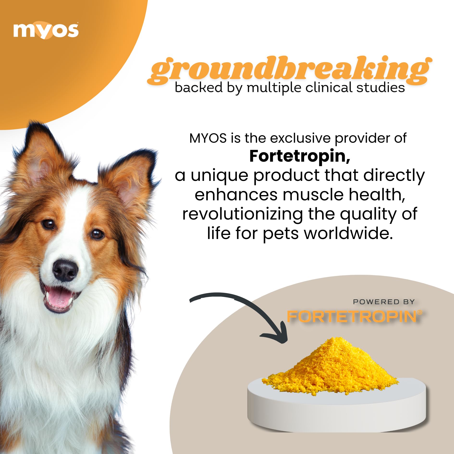 Fortetropin powder in scoop demonstrates convenient daily dosing for dog muscle health