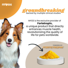 Fortetropin powder in scoop demonstrates convenient daily dosing for dog muscle health