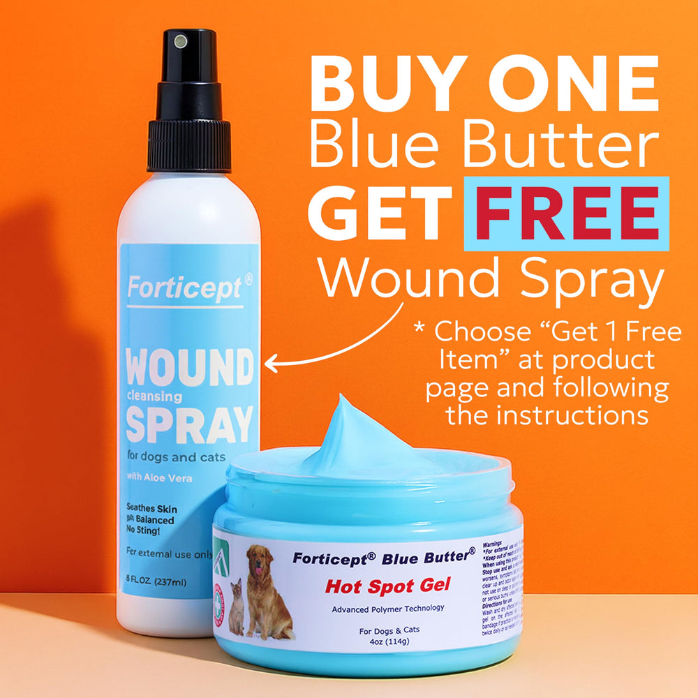 Forticept Blue Butter being applied on a pet's skin for convenient treatment.