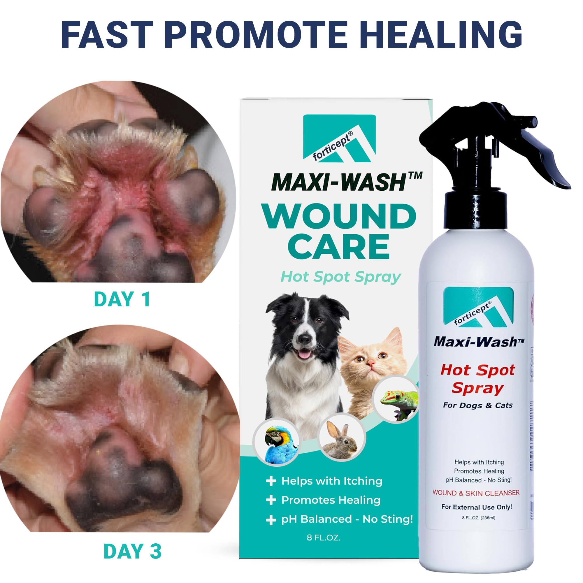 Forticept Maxi-Wash dog paw application for soothing itching and cleansing