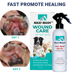 Forticept Maxi-Wash dog paw application for soothing itching and cleansing