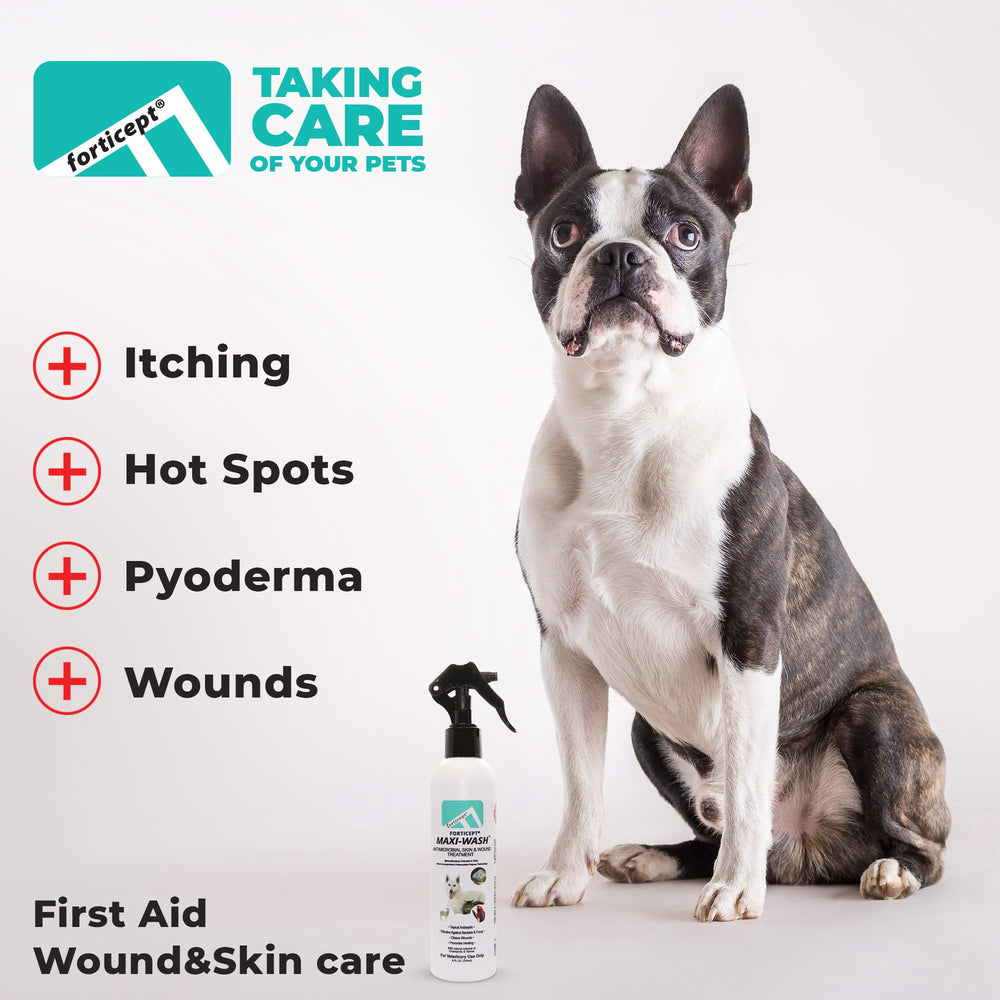 Forticept packaging front highlights USA made quality and complete first aid kit.