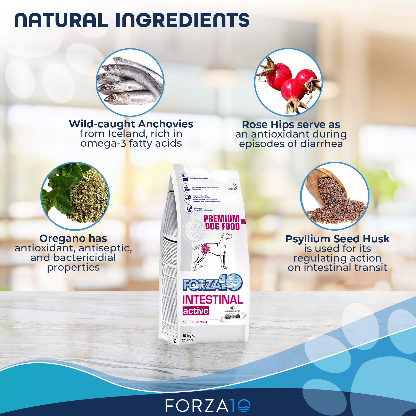 Forza10 Active Dry Intestinal ingredients image highlights FOS and oregano for gut health