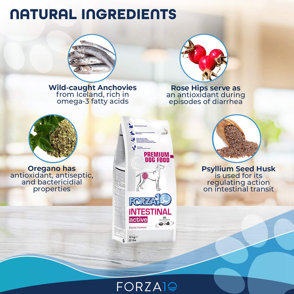 Forza10 Active Dry Intestinal ingredients image highlights FOS and oregano for gut health