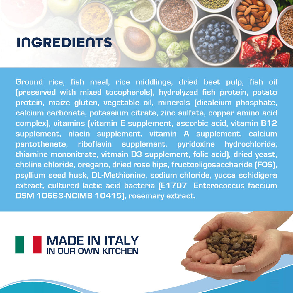 Forza10 Active Dry Intestinal label close-up emphasizes no corn, wheat, soy