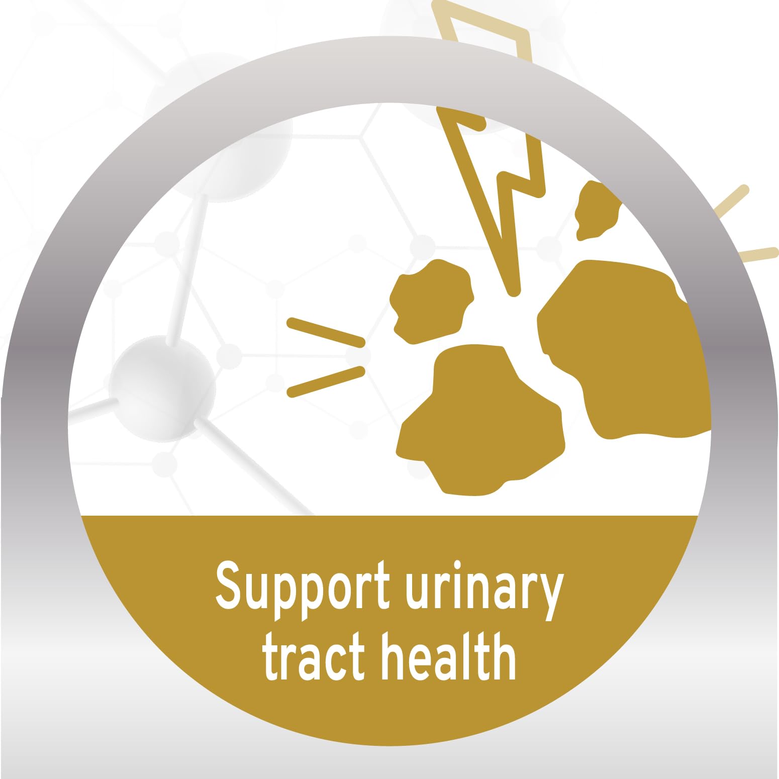 Forza10 cat ingredients cranberries image highlights natural cranberries supporting urinary wellness.