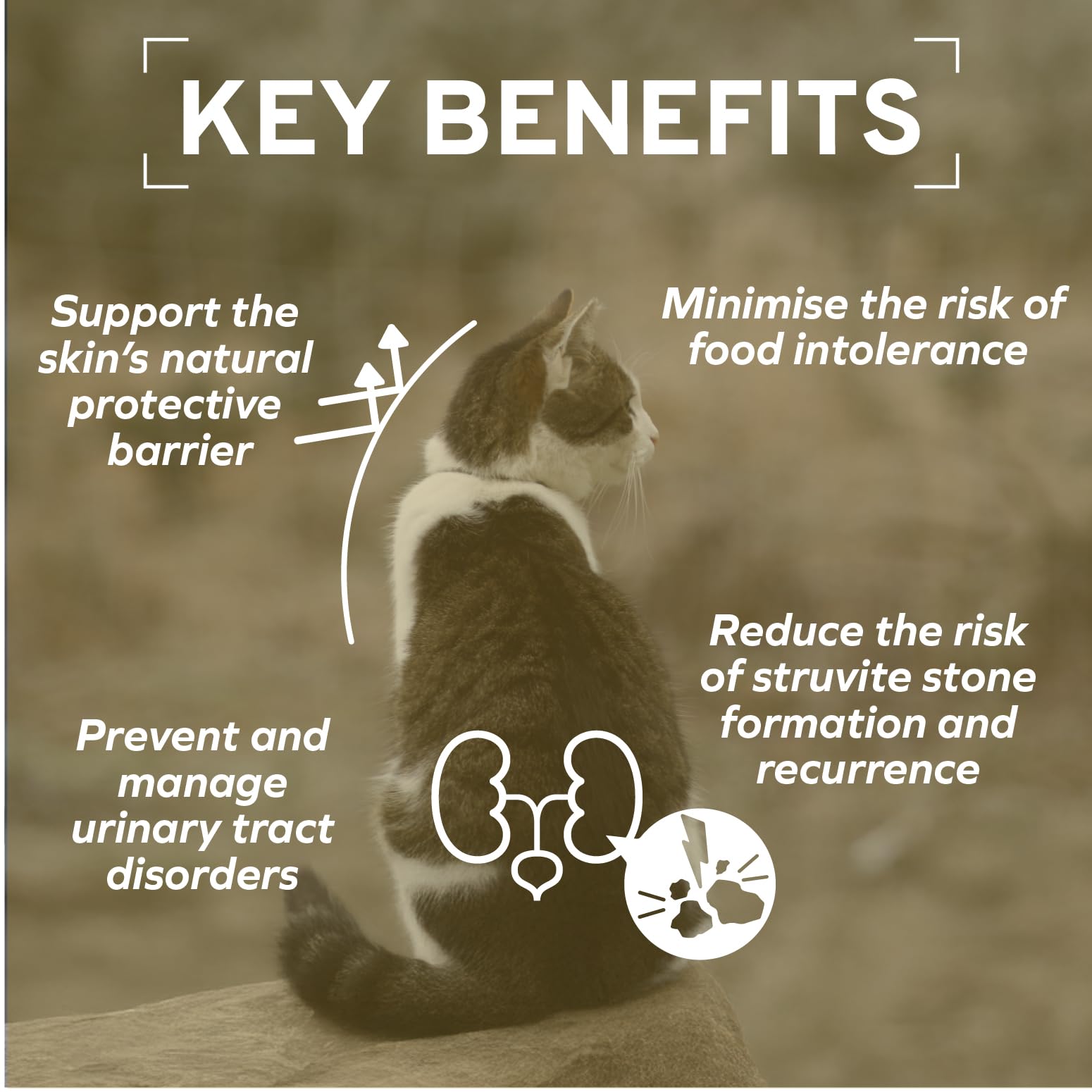 Forza10 cat-ingredients-dried-clover-extract image suggests natural fiber support for urinary health.