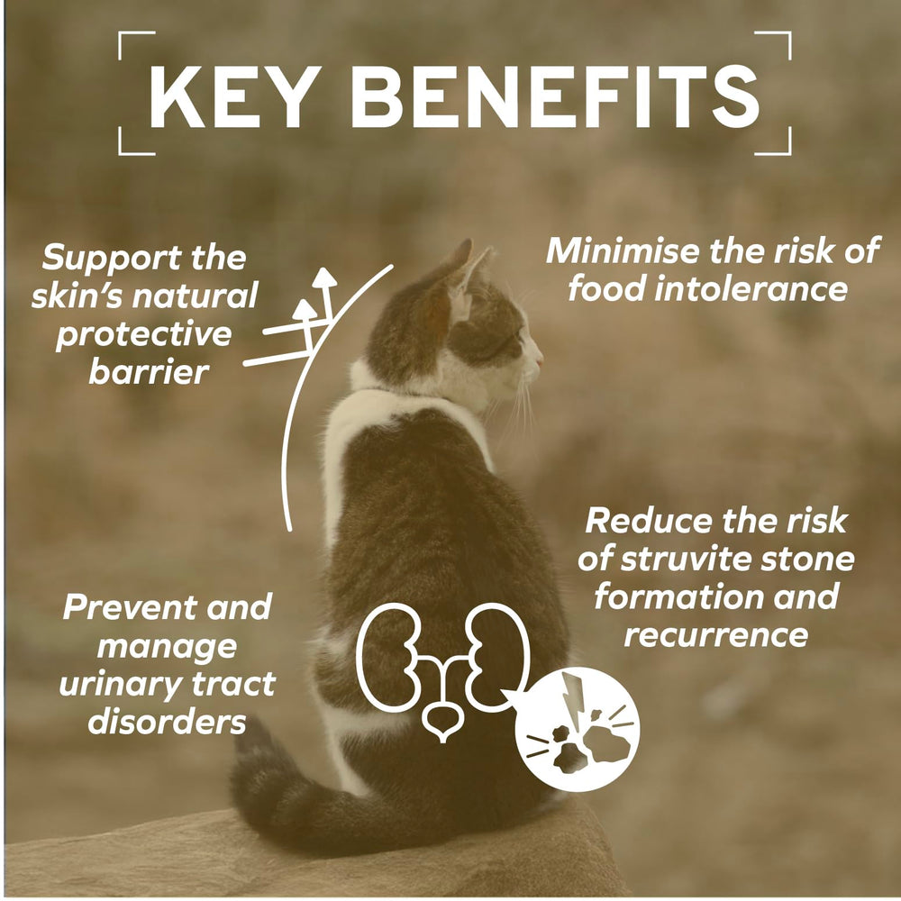 Forza10 cat-ingredients-dried-clover-extract image suggests natural fiber support for urinary health.