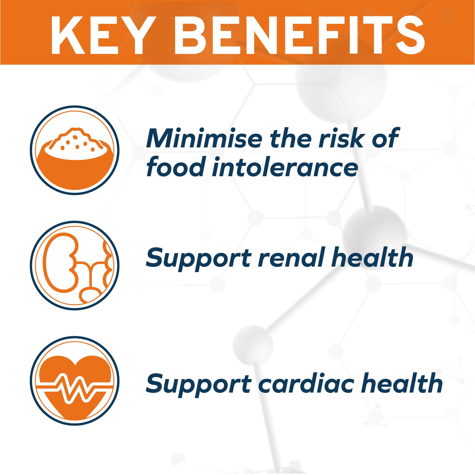 Forza10 ingredients graphic shows cranberries, dandelion, clover for kidney support.