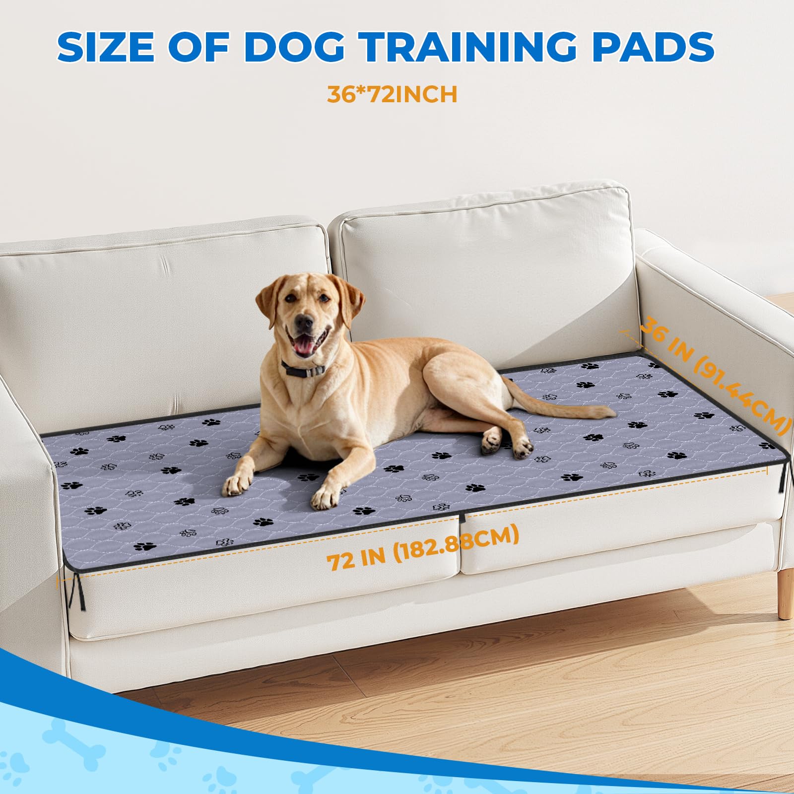 Fostanfly four-layer absorbent design supports training sessions with high capacity.