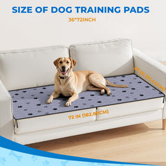Fostanfly four-layer absorbent design supports training sessions with high capacity.