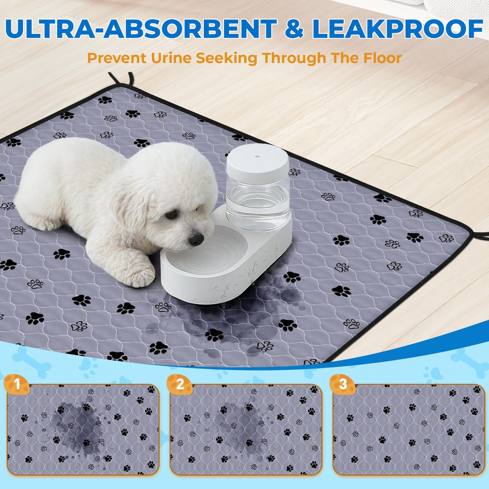 Fostanfly leak-proof TPU layer guards floors during puppy training.