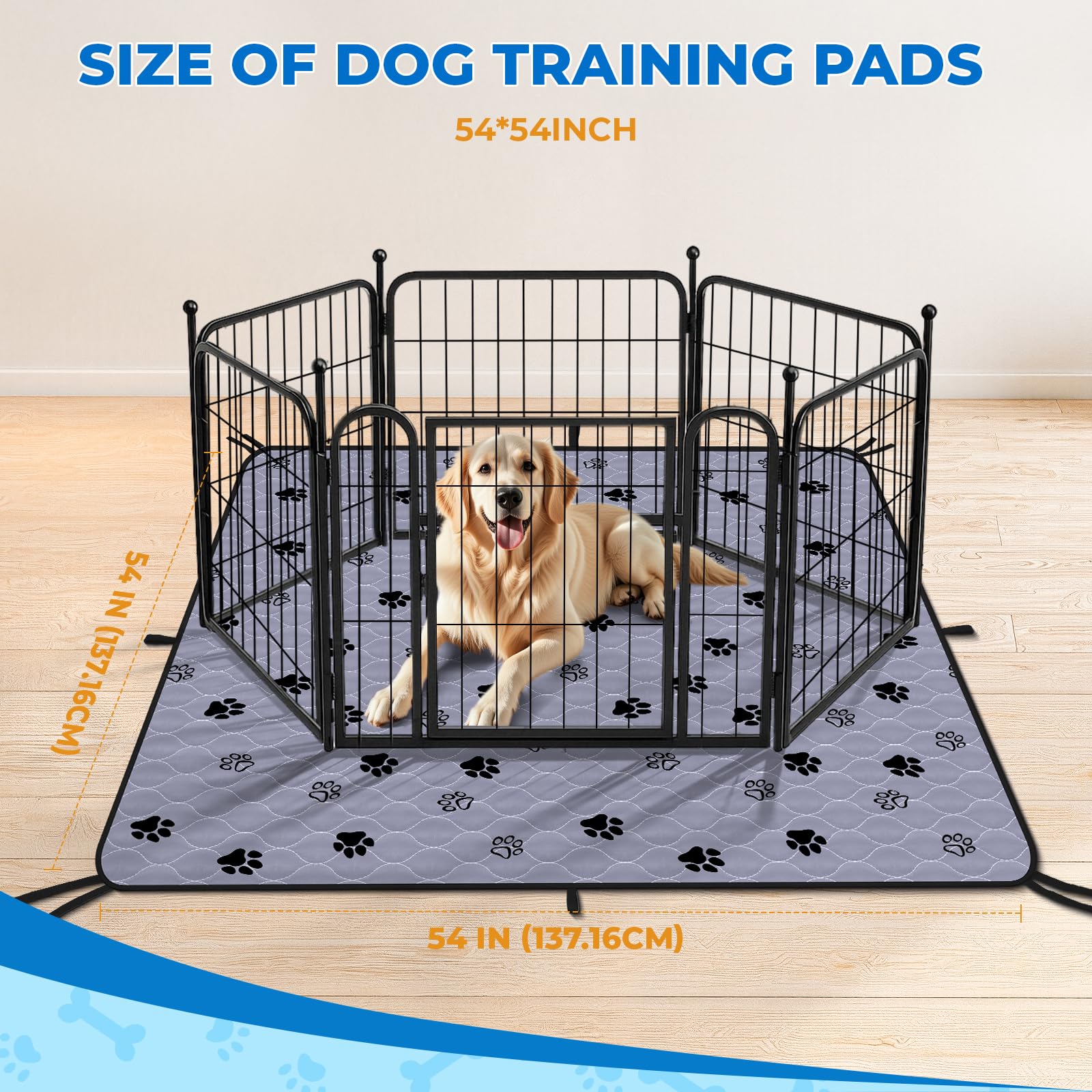 Fostanfly pad rolled out in living room with puppy, showing 54x54 coverage