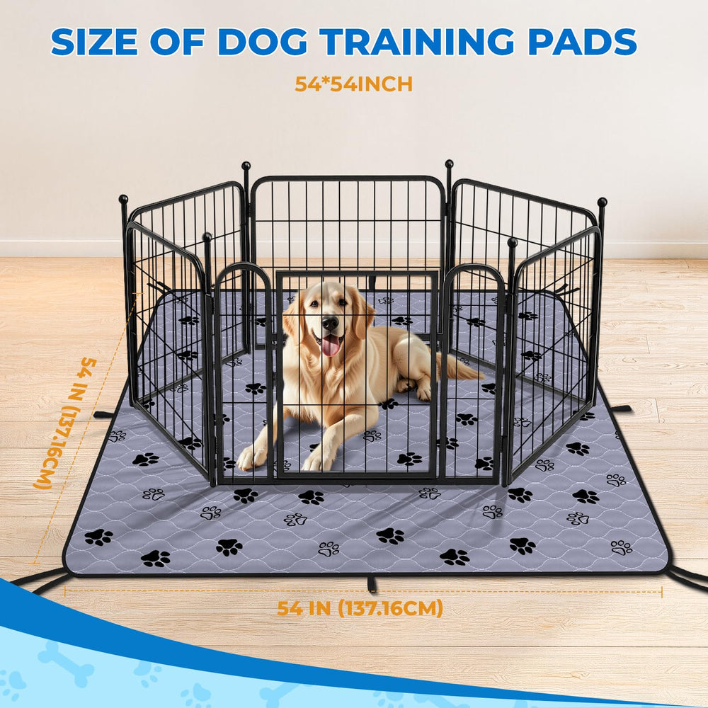Fostanfly pad rolled out in living room with puppy, showing 54x54 coverage