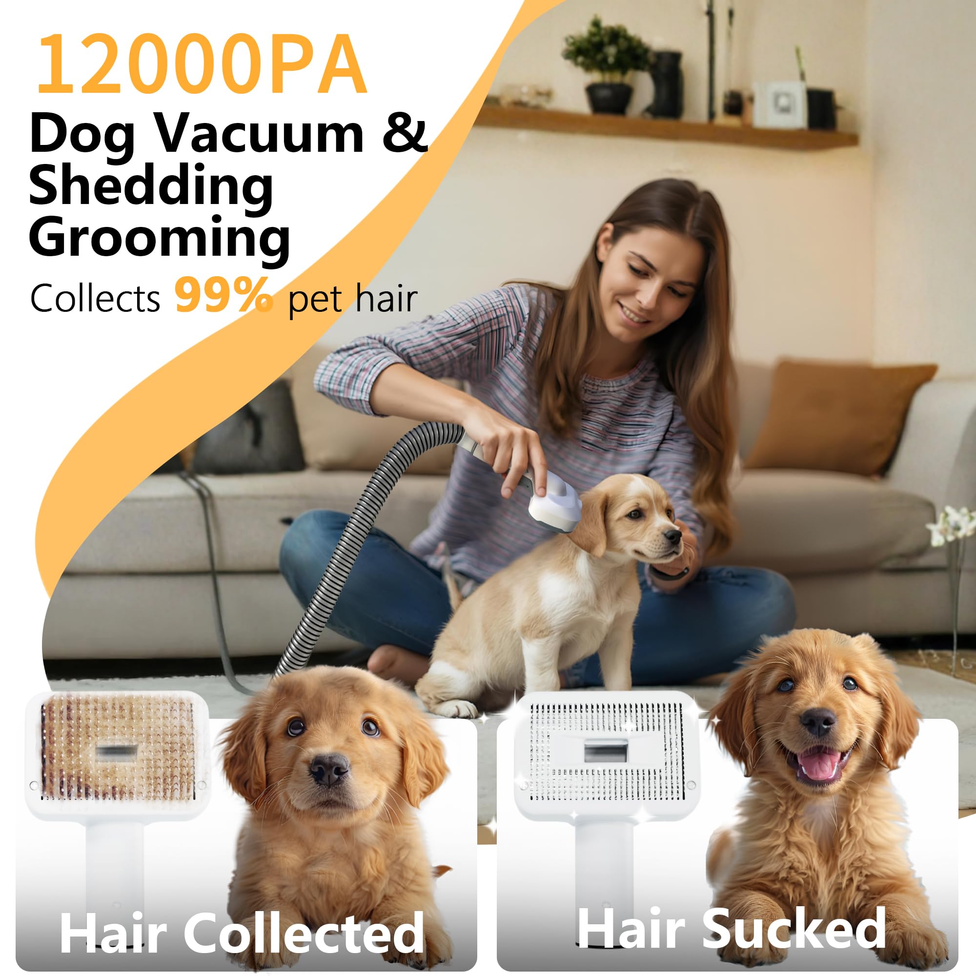 FOTING dog grooming brush and combs ready for precise coat care