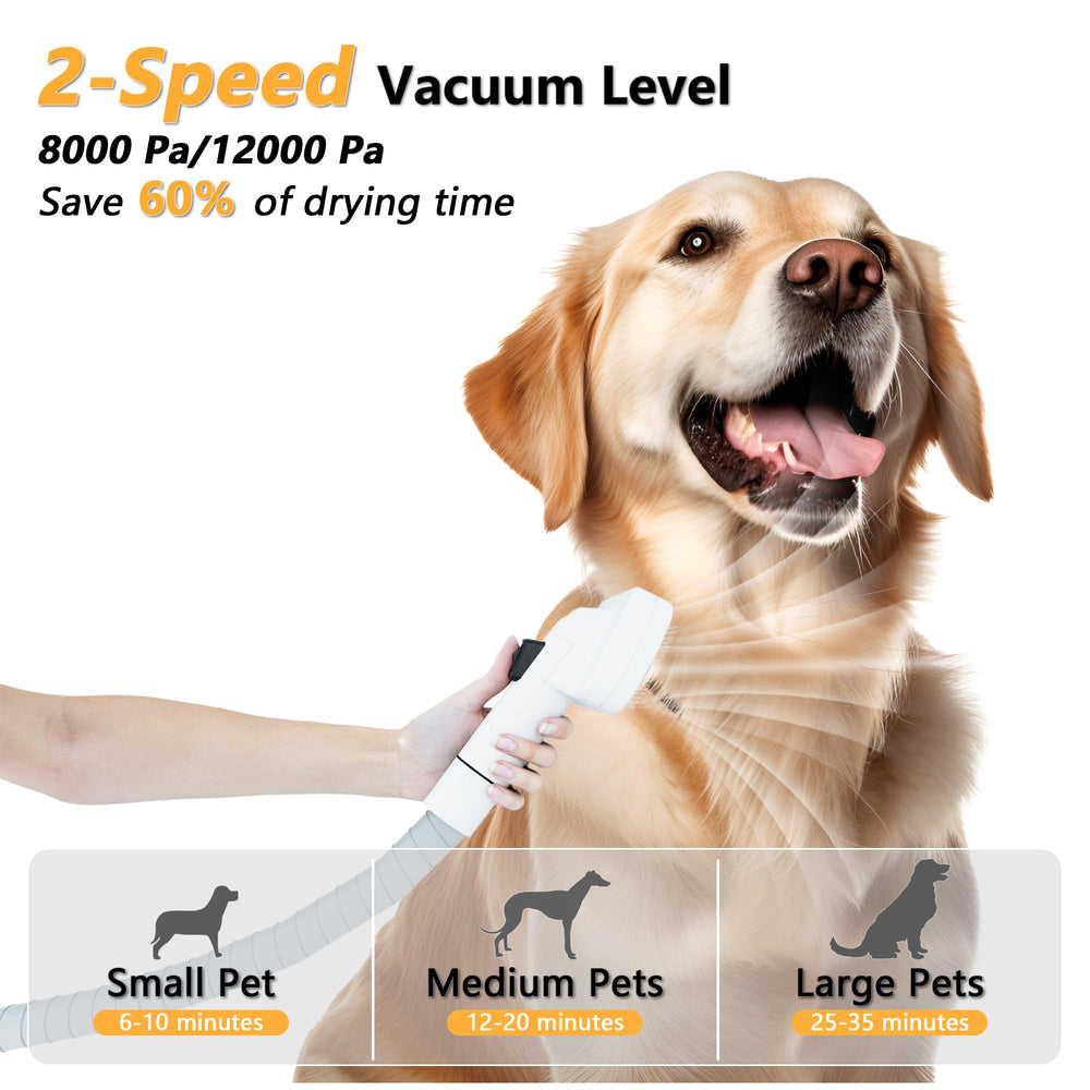 FOTING low-noise design keeps pets calm during grooming