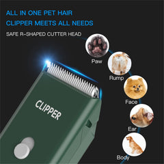 Founouly AP005 removable blade supports quick cleaning and simple replacement after trimming.